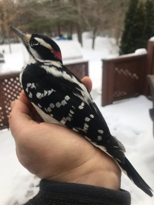 IMG_7462.jpeg IMG_7462.jpeg