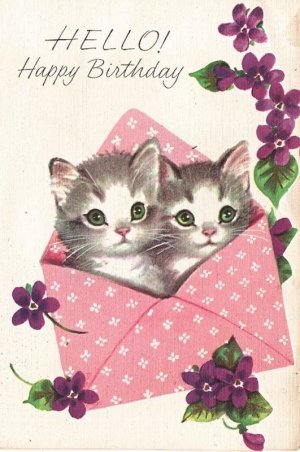 cats envelope.jpg