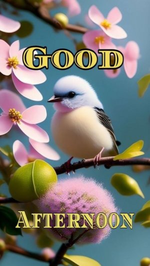 e5bea219d3d92aa45dad0c2b9a4a70fd[1].jpg