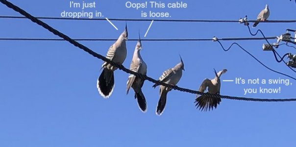 2024-05-18b.jpg 2024-05-18b.jpg