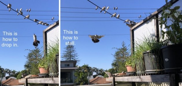 2024-05-18c.jpg 2024-05-18c.jpg