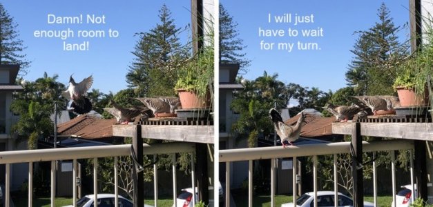 2024-05-18d.jpg 2024-05-18d.jpg