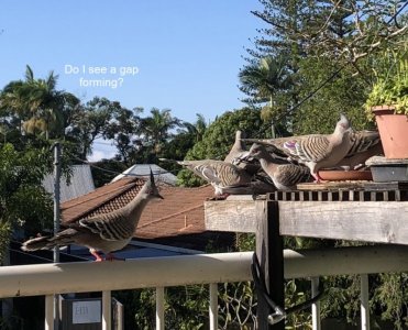 2024-05-18e.jpg 2024-05-18e.jpg