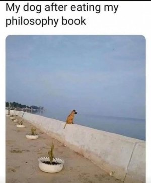 1WXtl9Y.jpeg