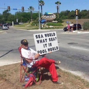 poolworld.jpeg
