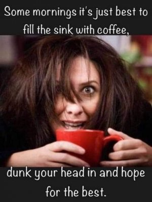 FB_IMG_1719067198318.jpg