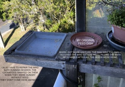 2024-06-12a.jpg 2024-06-12a.jpg