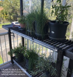 2024-06-12B.jpg 2024-06-12B.jpg