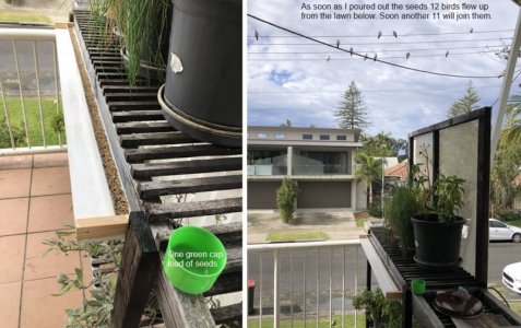 2024-06-15a.jpg 2024-06-15a.jpg