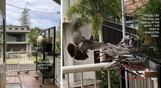 2024-06-15b.jpg 2024-06-15b.jpg