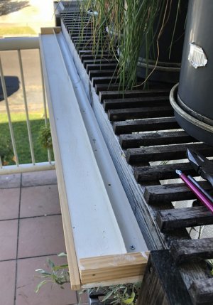 2024-06-15c.jpg 2024-06-15c.jpg