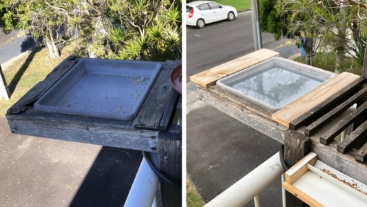 2024-06-21a.jpg 2024-06-21a.jpg