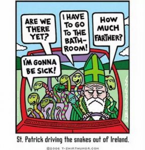 st paddy snakes.jpg