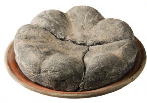 Roman%20bread.jpg