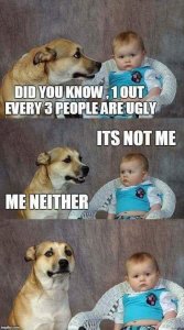 puppy.jpg
