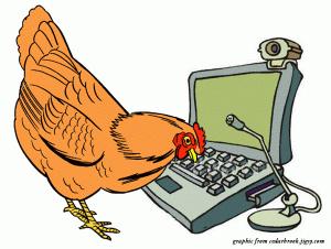 chicken-and-computer.gif