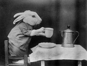 bunny-coffee-break_a-l-12750678-14258388.jpg