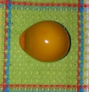 egg1.jpg