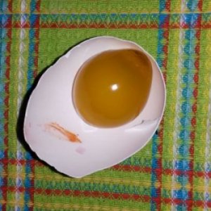 egg2.jpg