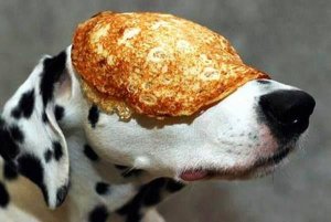 profile mag-max-1280x722.jpg