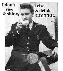 elvis.jpg