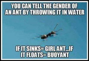 9526318E-4E20-4B2F-8DD5-24635DA4DDDE.jpeg