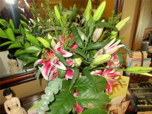 Flowers open.jpg