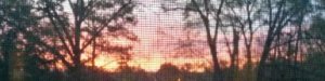 sunrise2018.jpg
