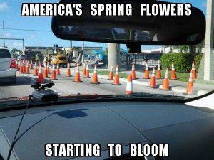 A03AEC7D-5C93-41F0-A46C-09AE73973EA8.jpeg