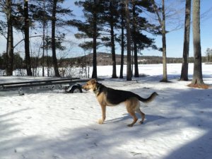 Bella.jpg