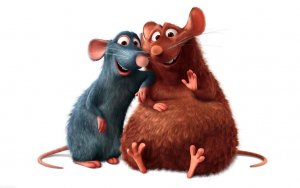 ratatouille-cartoon-hd-wallpaper-1920x1200-40229.jpg