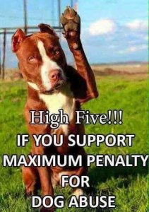 FB_IMG_1522866634261.jpg