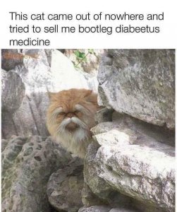med.jpg
