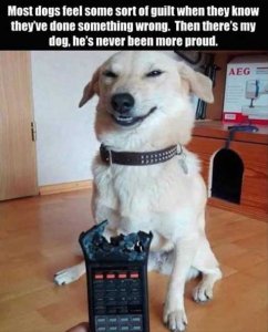 0DD77D09-A718-4F7C-9580-E14F05DBC53C.jpeg