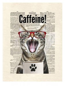 matt-dinniman-cat-caffeine_a-g-14004240-0.jpg