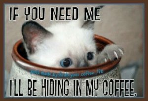 51C57CDF-1147-4BB4-845B-F98593E378E2.jpeg