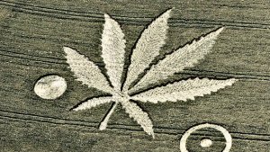 file_191921_0_Crop_Cirles_header.jpg