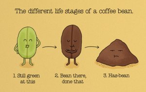 jun-food-facts.jpg