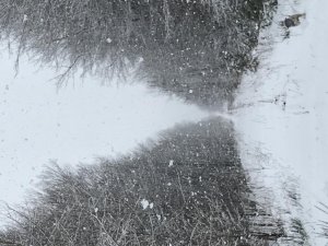 8F6D8840-F1C0-4E34-A158-2E5A9687FC95.jpg