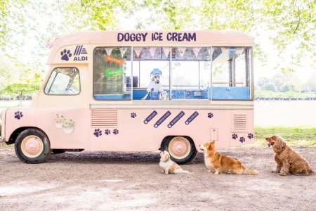 aldi-doggy-ice-cream-1655125030.jpg