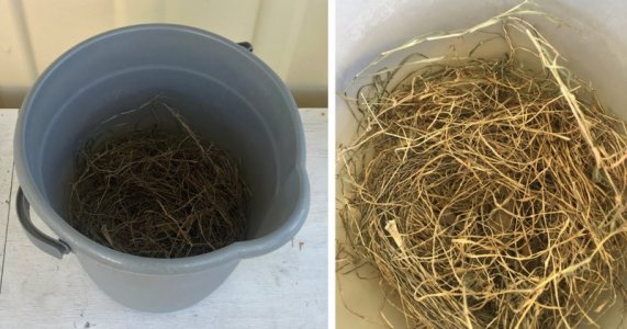 NESTBOX #1_06.jpg NESTBOX #1_06.jpg