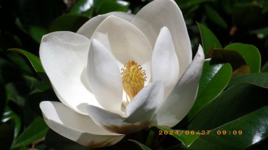 IMGP4205.JPG