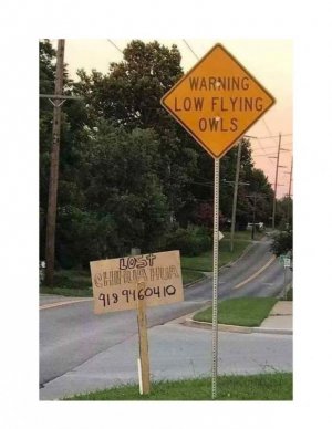 1719583210066.jpeg