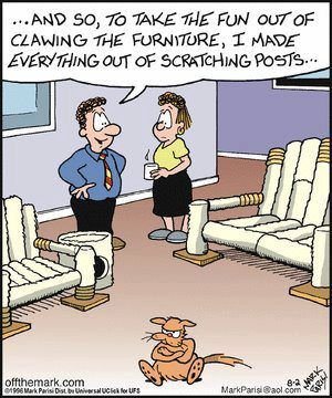 catscratchfurniture.jpg