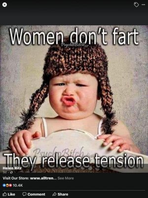 4901c7a1f010b00727e36b84117f2bda.jpg