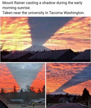 1000002370.jpg