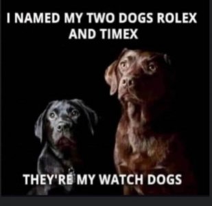 IMG_8057.jpeg