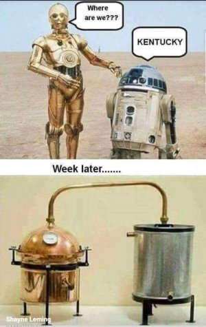 FB_IMG_1719711802864.jpg