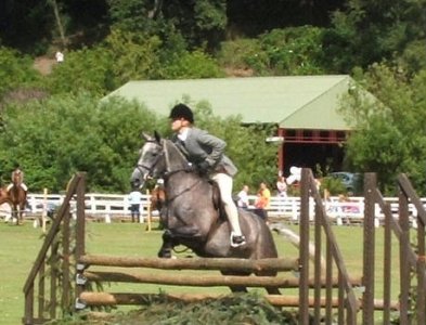 horsejump.jpg