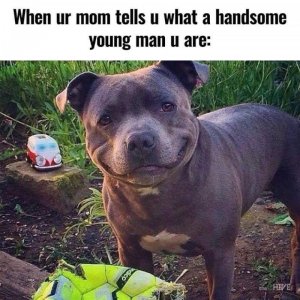 IMG_8047.jpeg